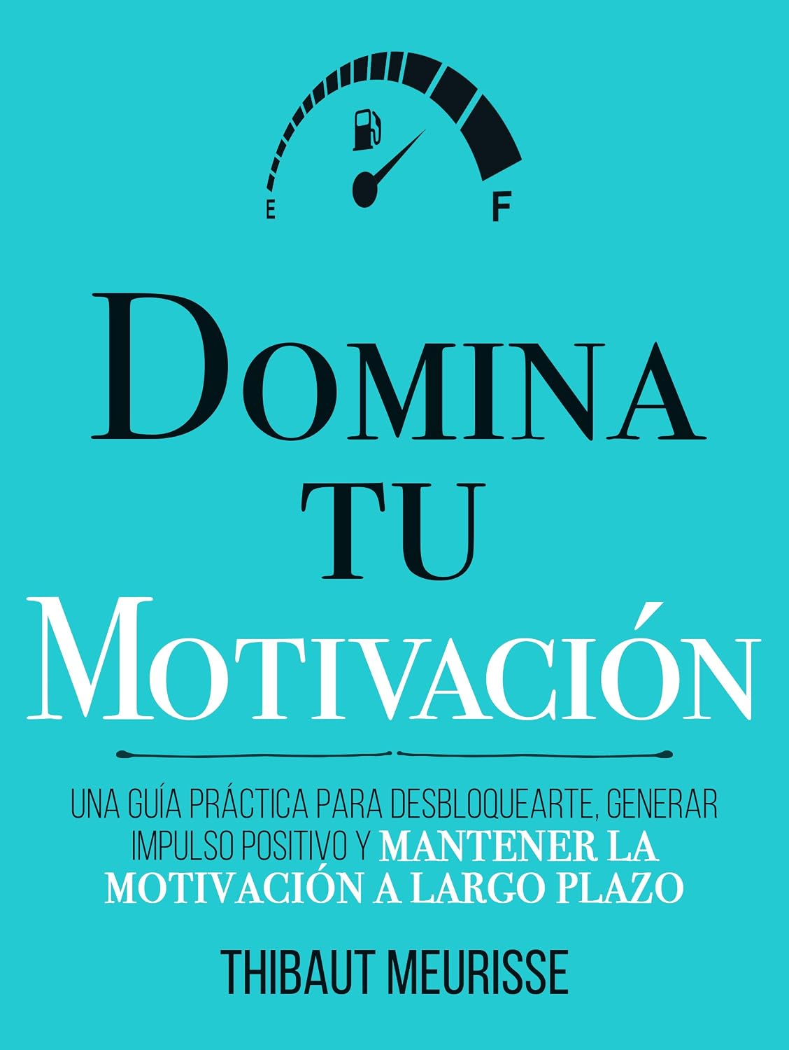 Domina Tu Motivación - Thibaut Meurisse